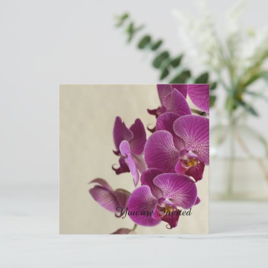 Roze Orchideeën Bloemen Verjaardag Kaart (Staand voorkant)