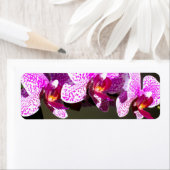 Roze orchideeën etiket (Insitu)