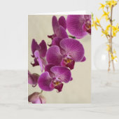 Roze orchideeën kaart (Gele Bloem)