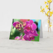 Roze orchideeën  kaart (Gele Bloem)