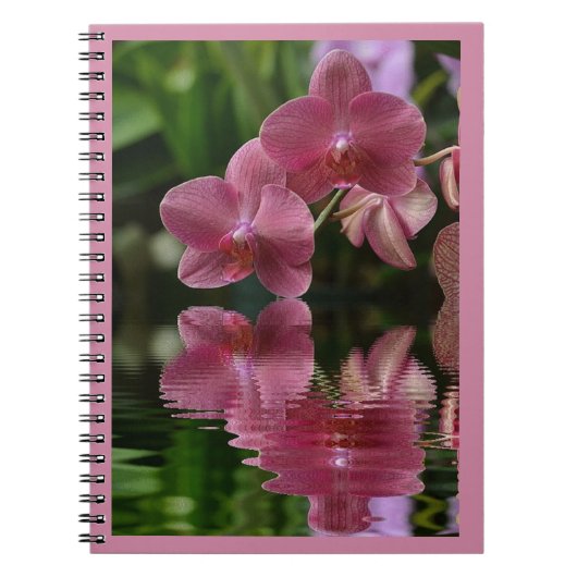 Roze orchideeën met reflecties notitieboek (Voorkant)