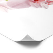 Roze orchideeën poster (Hoek)