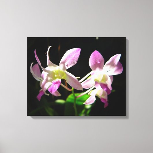 Roze Orchideeën Verpakt Canvas (Voorkant)