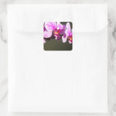 Roze orchideeën vierkante sticker (Tas)