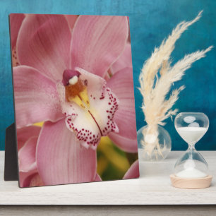 Roze Orchids Plaque Fotoplaat