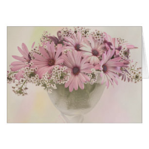 Roze Osteospernum Kaart