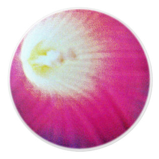 Roze-Paarse Custom Keramische knop