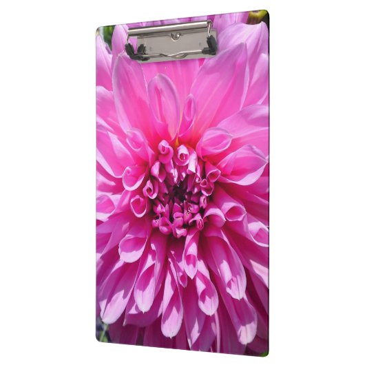 Roze Paarse Dahlia Bloem Klembord (Links)