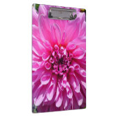 Roze Paarse Dahlia Bloem Klembord (Rechts)
