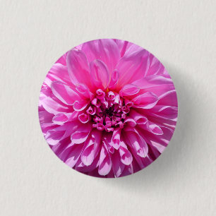 Roze Paarse Dahlia Bloem Ronde Button 3,2 Cm