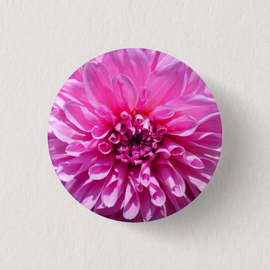 Roze Paarse Dahlia Bloem Ronde Button 3,2 Cm (Voorkant)