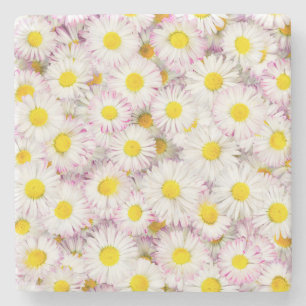 Roze Paarse Daisy Flower Pattern Stenen Onderzetter
