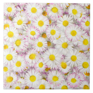 Roze Paarse Daisy Flower Pattern Tegeltje