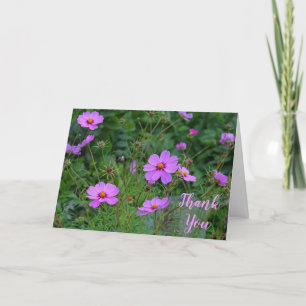 Roze Paarse Kosmos Bloem Dank u Bericht Bedankkaart