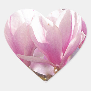 Roze Paarse Magnolia - Lentbloem Hart Sticker