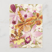 Roze Paarse orchidee bloemen bloemen Briefkaart (Voorkant)