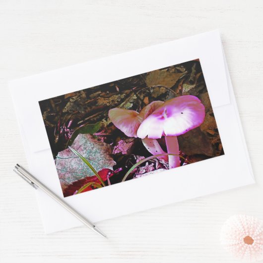 Roze paddenstoel rechthoekige sticker (Envelop)