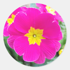 Roze Pansy in de Park Classic Round Sticker