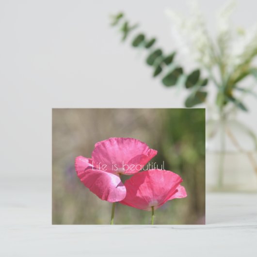 Roze papaver briefkaart (Staand voorkant)