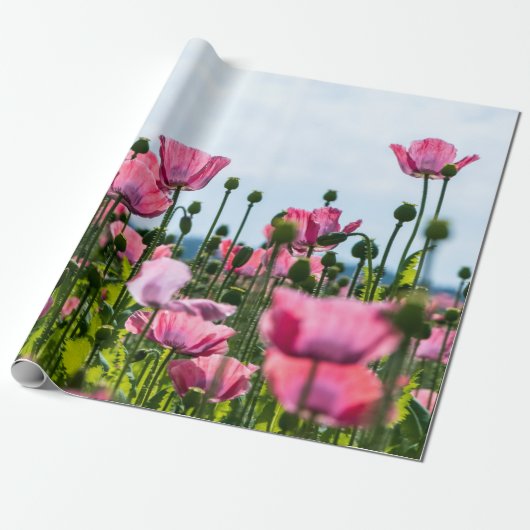 Roze papaver cadeaupapier (Uitgerold)