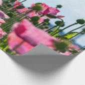 Roze papaver cadeaupapier (Hoek)