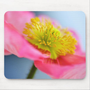 Roze papaver muismat