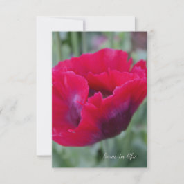 Roze papaver notitiekaartje