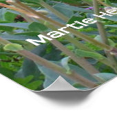 Roze papaver poster (Hoek)