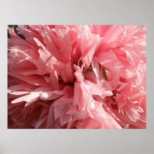  roze papaverdruk poster