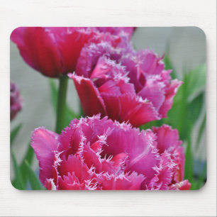 Roze papegaaiknollen muismat