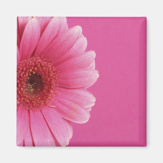 Roze Passion Magnet Magneet (Voorkant)