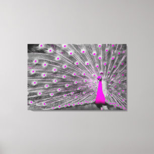 Roze Peacock Wrapped Canvas Afdruk