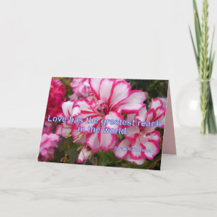 Roze Pelargonium Liefde is de Grootste bloemkaart Kaart