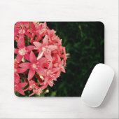 Roze pentas muismat (Met muis)