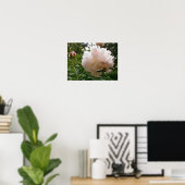 Roze Peony Blossom. Poster (Thuiskantoor)