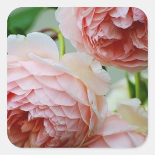 Roze Peony Envelope Seal Stickers