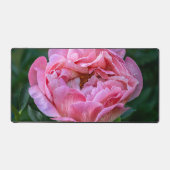Roze Peony Flower, Canadese fotografie Bureaumat (Voorkant)