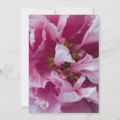 Roze Peony Flower Vrijgezellenfeest Kaart (Achterkant)