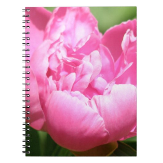 Roze Peony-laptop Notitieboek (Voorkant)