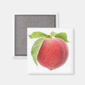 Roze perzik magneet (Voorkant / Achterkant)
