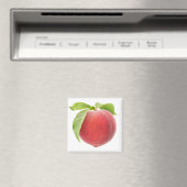 Roze perzik magneet (Insitu (Vaatwasser))