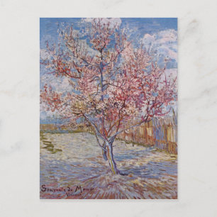 Roze perzikboom in bloesem (Herinking van de Mauve Briefkaart