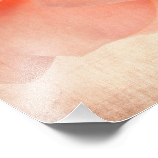 Roze perzikkleurige Roos bloem Rozen bloemen stoom Foto Afdruk (Hoek)