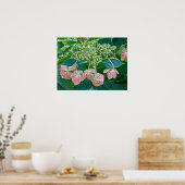 Roze Pet Hydrangea Blossom - Poster (Keuken)
