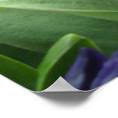 Roze petaalbuizen in de bladeren van 2 Poster (Hoek)