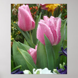 Roze petaalbuizen in de bladeren van 2 Poster