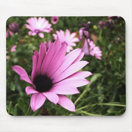 Roze Petals Flower Mousepad Muismat (Voorkant)