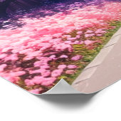 Roze Petals Lane Poster (Hoek)