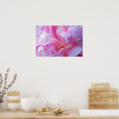 Roze Petals Peonie Poster (Keuken)
