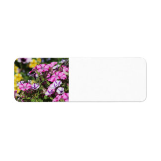 Roze petunia adreslabel etiket